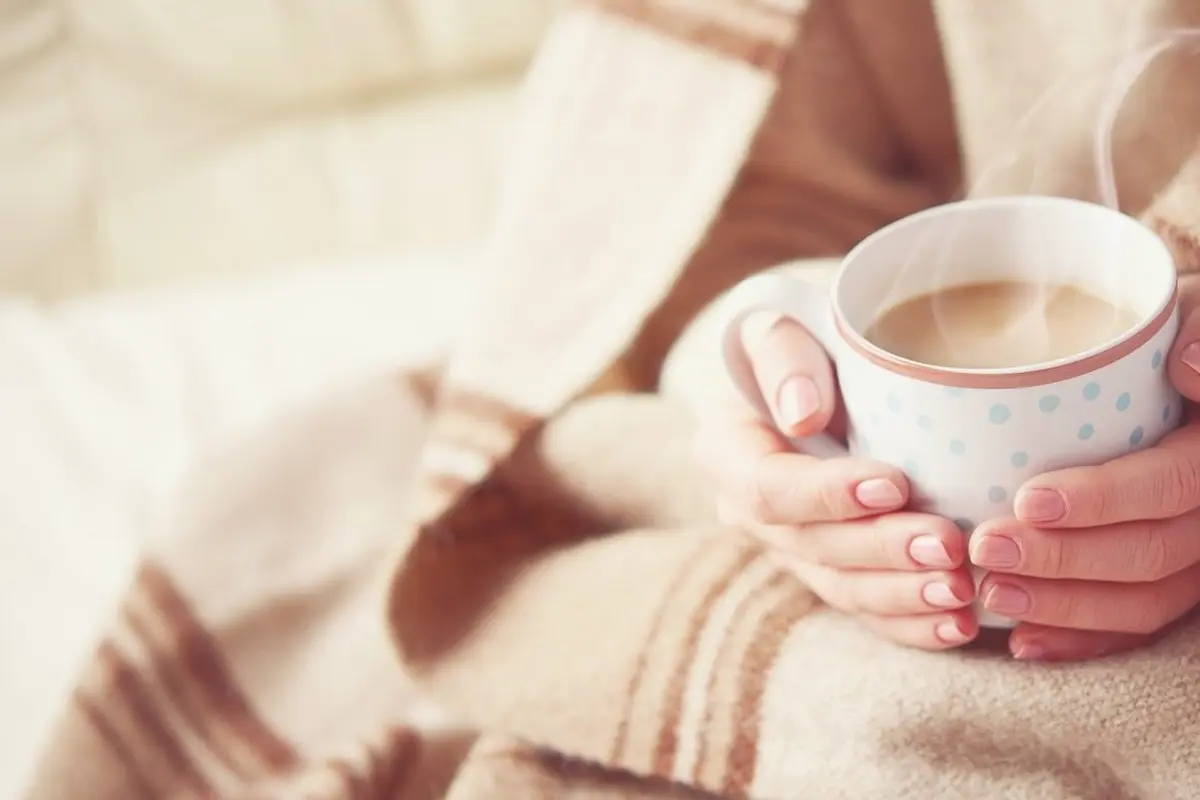 Carbon Monoxide Safety Gas Furnace Monterey Park CA — home staying warm in the winter season