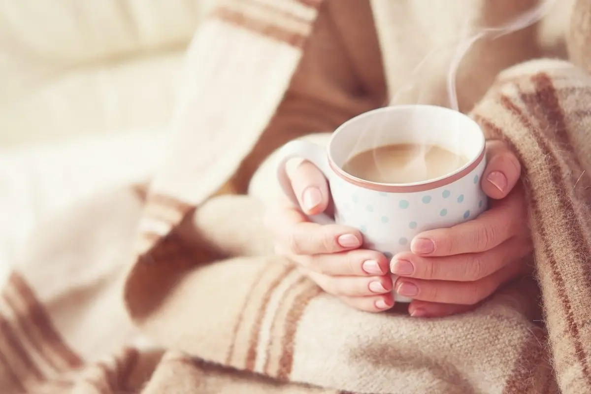 Furnace Maintenance Checklist Monterey Park CA — home staying warm in the winter season